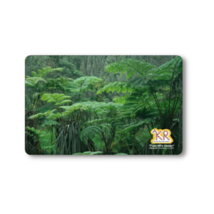 KRカード シダの森