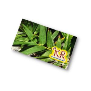 笹の葉カード（A）